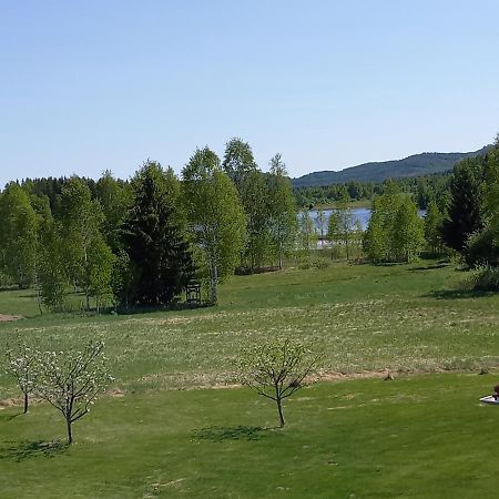 Appartamento Laegenhet Pa Landet Torsby Esterno foto